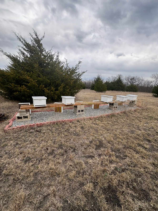 Spring Buzz: Waking Up the Hives at Land of Bees & Honey
