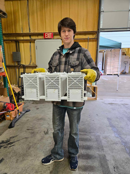 New Hives, New Beginnings – Spring Buzz at Land of Bees & Honey