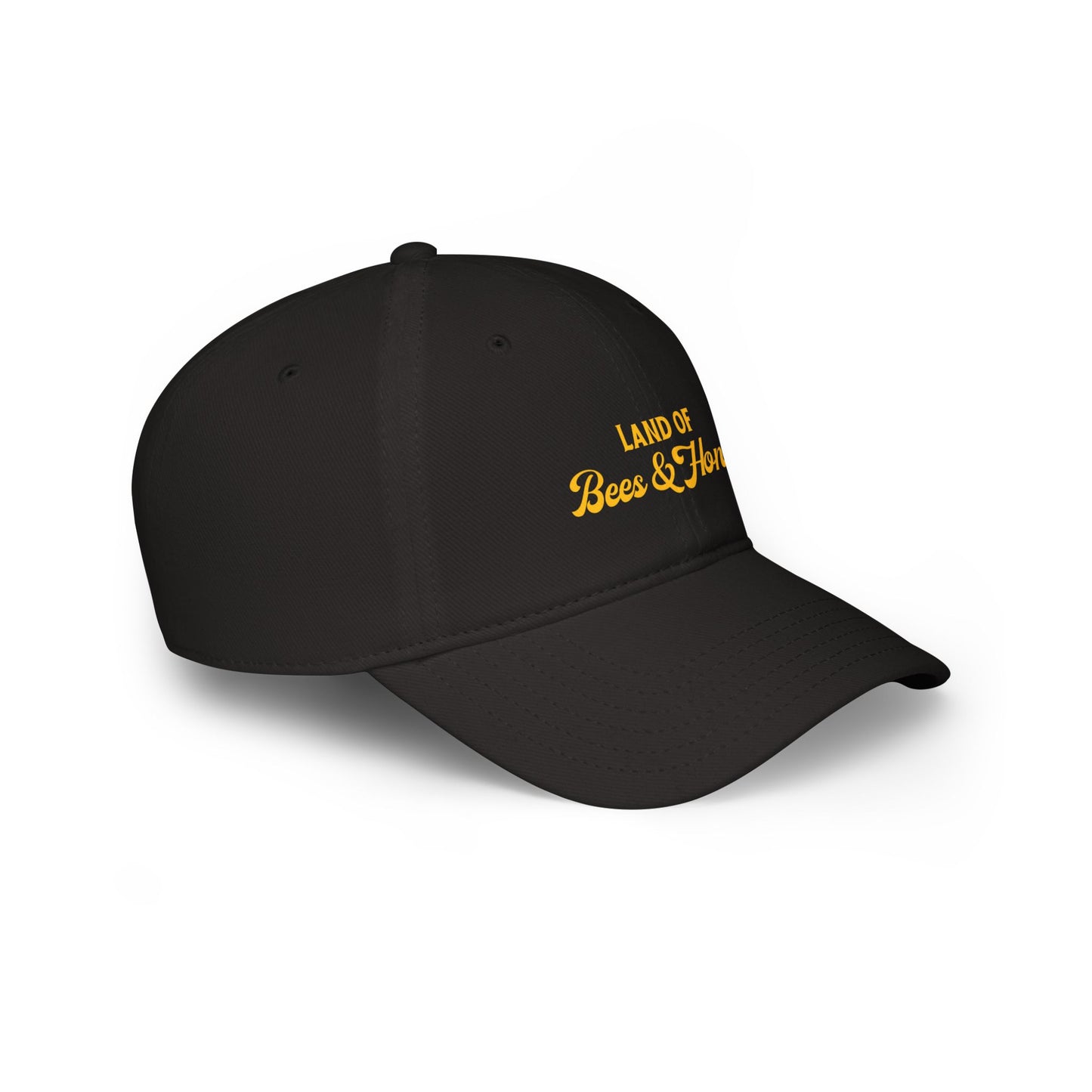 Land of Bees & Honey Embroidered Low-Profile Hat – Black
