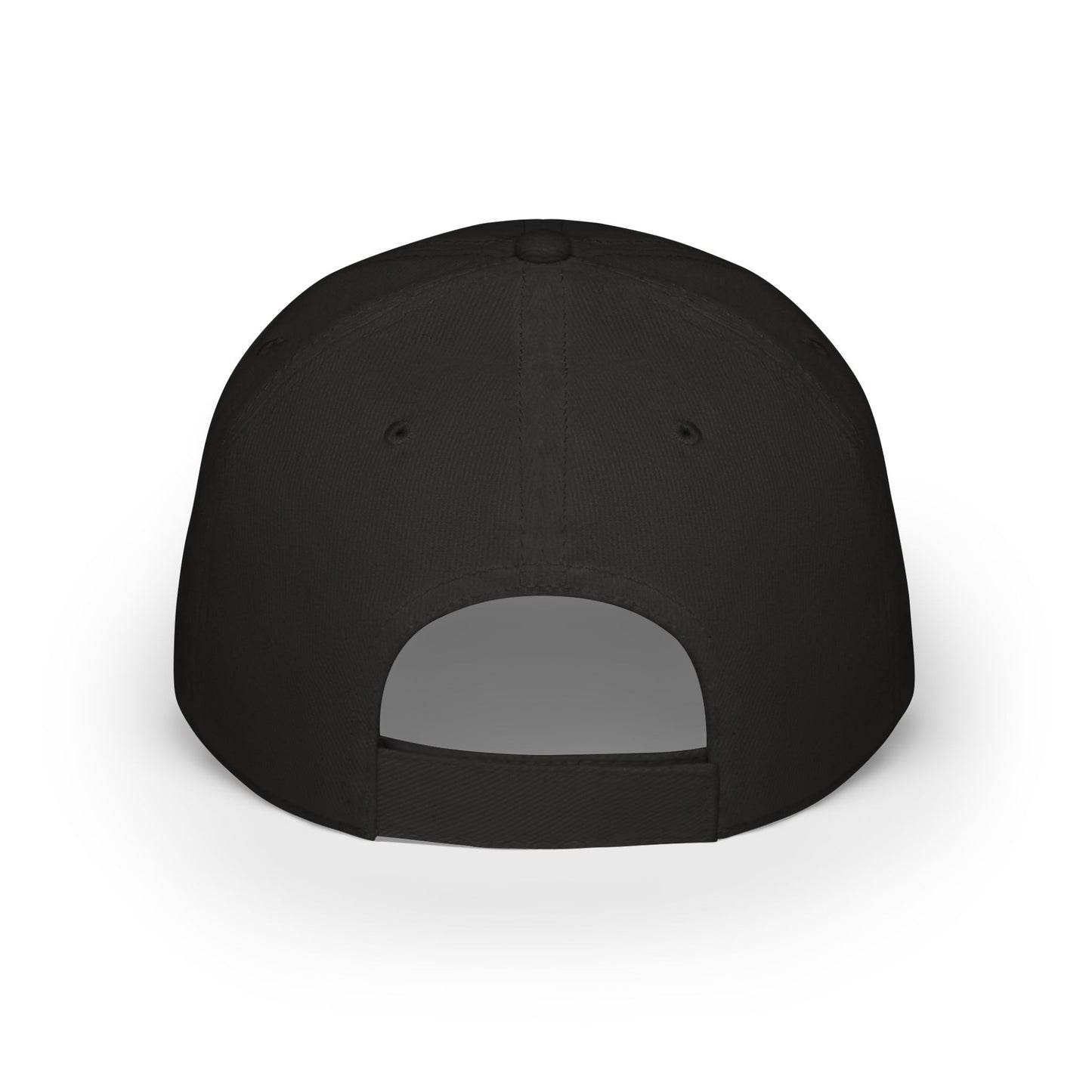 Land of Bees & Honey Embroidered Low-Profile Hat – Black